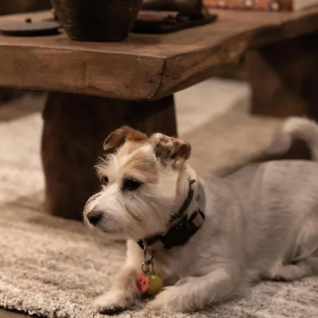 Nevada - Luxury For 6 - Gruponevado * Sierra Nevada